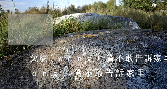 欠網(wǎng)貸不敢告訴家里(欠網(wǎng)貸不敢告訴家里)