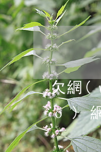 欠網(wǎng)貸不敢和家人說(shuō)(網(wǎng)貸欠了六萬(wàn)不敢跟家人說(shuō))