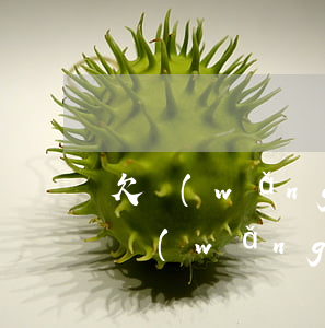 欠網(wǎng)貸不敢和家里人蛋白(欠著網(wǎng)貸怎么和家人坦白吧)