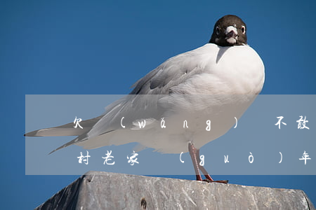 欠網(wǎng)貸不敢回農(nóng)村老家過(guò)年照片-