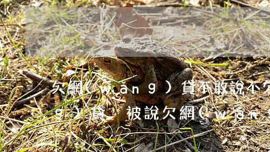 欠網(wǎng)貸不敢說(不欠網(wǎng)貸,卻被說欠網(wǎng)貸怎么辦)