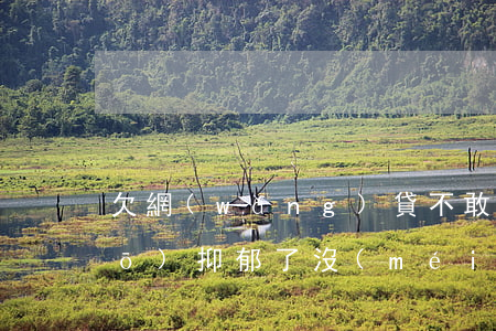 欠網(wǎng)貸不敢跟父母說(shuō)抑郁了(沒(méi)勇氣和父母坦白欠了網(wǎng)貸)