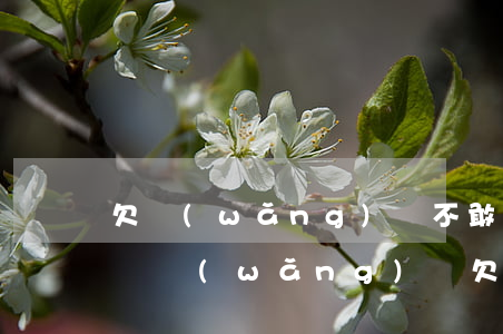 欠網(wǎng)貸不敢還怕還了還在怎么辦(網(wǎng)貸欠債還不上怎么辦)