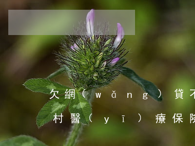 欠網(wǎng)貸不能交農(nóng)村醫(yī)療保險(xiǎn)(網(wǎng)貸逾期交不了農(nóng)村醫(yī)保嗎)
