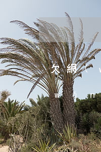 欠網(wǎng)貸不能坐高鐵么(欠了網(wǎng)貸能坐高鐵嗎)