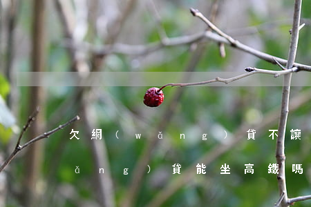 欠網(wǎng)貸不讓坐高鐵(欠了網(wǎng)貸能坐高鐵嗎)