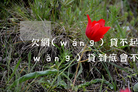 欠網(wǎng)貸不起訴一直騷擾(欠網(wǎng)貸到底會不會被起訴)