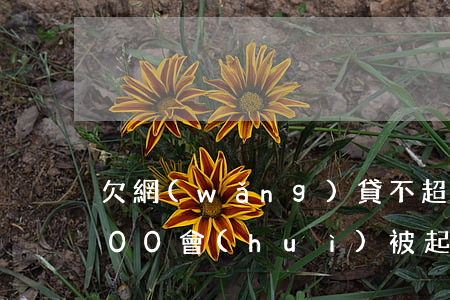 欠網(wǎng)貸不超過(guò)3000會(huì)被起訴嗎(欠網(wǎng)貸三千多會(huì)被起訴嗎)