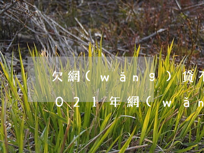 欠網(wǎng)貸不還2021年政策(2021年網(wǎng)貸逾期新政策)