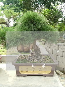 欠網(wǎng)貸不還他們會(huì)到家嗎