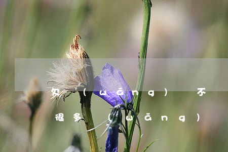 欠網(wǎng)貸不還以后有什么后果(欠很多網(wǎng)貸不還有什么后果?)