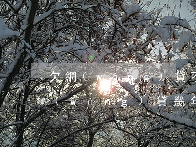 欠網(wǎng)貸不還兩年了(為什么欠網(wǎng)貸幾年不還都沒事)