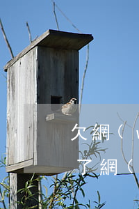 欠網(wǎng)貸不還又想還了怎么辦(欠了網(wǎng)貸還不上不知道怎么辦)