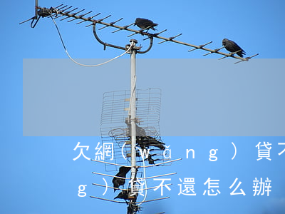 欠網(wǎng)貸不還咋辦(欠網(wǎng)貸不還怎么辦)