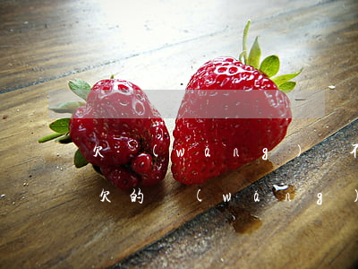 欠網(wǎng)貸不還坐牢是怎樣的感覺(欠的網(wǎng)貸坐牢了怎么辦)