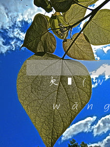 欠網(wǎng)貸不還多久會催收(欠網(wǎng)貸2年了,還會催收嗎)
