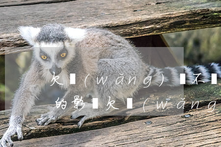 欠網(wǎng)貸不還對(duì)子女的影響(欠網(wǎng)貸不還對(duì)子女的影響)