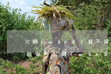 欠網(wǎng)貸不還對方會寄什么東西給你-欠網(wǎng)貸不還對方會寄什么東西給你呢