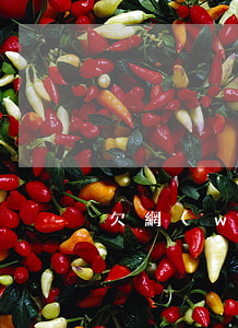 欠網(wǎng)貸不還 對方能找得到人嗎