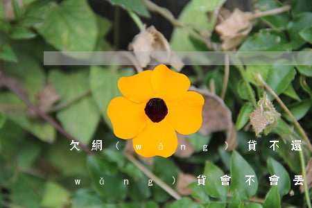 欠網(wǎng)貸不還影響上班嗎(欠網(wǎng)貸會不會丟工作)