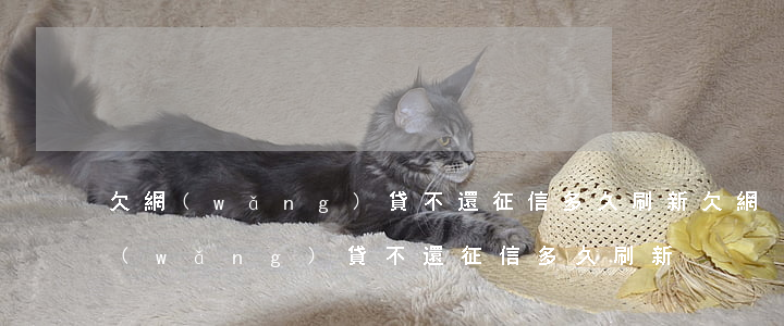 欠網(wǎng)貸不還征信多久刷新(欠網(wǎng)貸不還征信多久刷新)