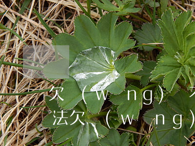 欠網(wǎng)貸不還怎么辦最有效的方法(欠網(wǎng)貸無法還怎么辦)