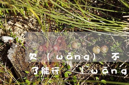 欠網(wǎng)貸不還手機(jī)號換了能行嗎(網(wǎng)貸不還換電話號碼可以嗎)