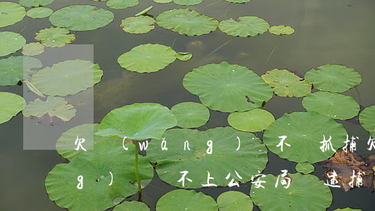 欠網(wǎng)貸不還抓捕(欠網(wǎng)貸還不上公安局會逮捕嗎)