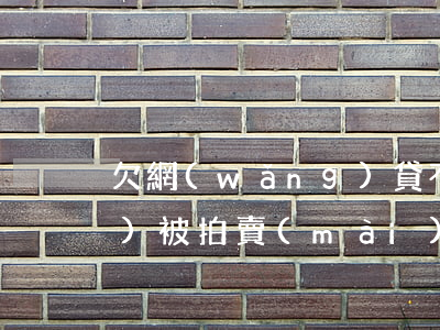 欠網(wǎng)貸不還按揭房會(huì)被拍賣(mài)嗎嗎