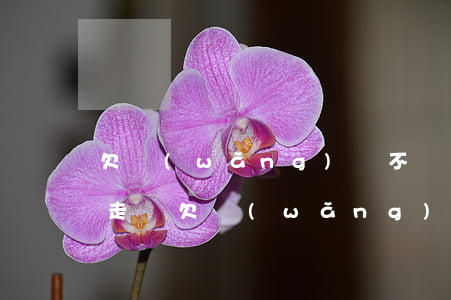 欠網(wǎng)貸不還收到短信通知上門走訪(欠網(wǎng)貸收到短信說要去村委會)