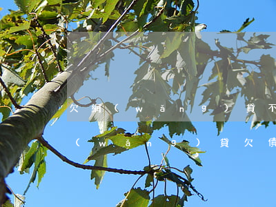 欠網(wǎng)貸不還最后都怎么樣了(網(wǎng)貸欠債不還會(huì)怎樣)