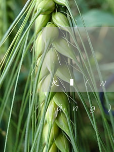 欠網(wǎng)貸不還最怕什么(欠網(wǎng)貸不還了會(huì)怎么樣)