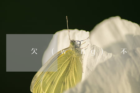 欠網(wǎng)貸不還會(huì)做牢嗎