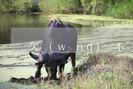 欠網(wǎng)貸不還會(huì)如何