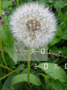 欠網(wǎng)貸不還會(huì)封車子嗎(欠網(wǎng)貸影響車貸嗎)