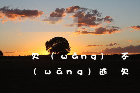 欠網(wǎng)貸不還會(huì)成網(wǎng)逃嗎(欠網(wǎng)貸會(huì)被網(wǎng)逃嗎)