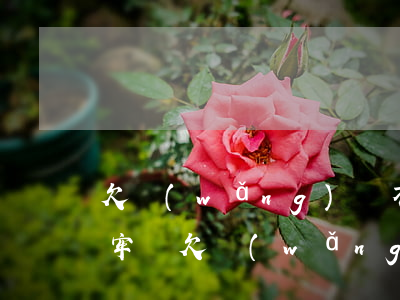欠網(wǎng)貸不還會(huì)玩坐牢嗎(欠網(wǎng)貸還不起會(huì)不會(huì)坐牢)