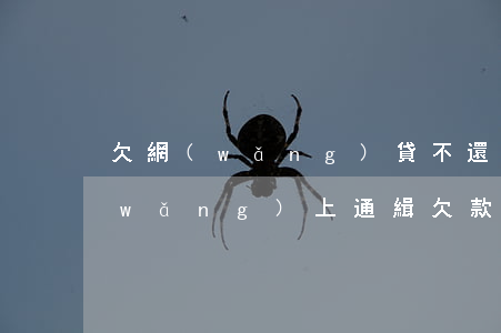 欠網(wǎng)貸不還會(huì)網(wǎng)上通緝(欠款沒還會(huì)不會(huì)成網(wǎng)上通緝)