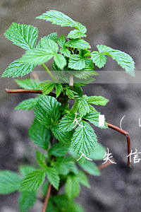 欠網(wǎng)貸不還會(huì)被列入失信名單嗎(網(wǎng)貸會(huì)被列入失信名單嗎?欠網(wǎng)貸多少錢會(huì)列入黑名單?)
