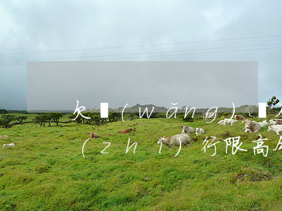 欠網(wǎng)貸不還會(huì)被執(zhí)行限高令嗎(網(wǎng)貸能發(fā)限高令)