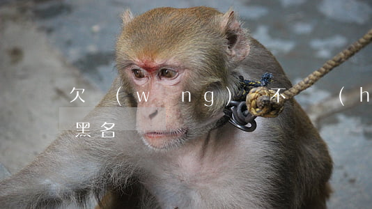欠網(wǎng)貸不還會(huì)被拉黑名單嗎