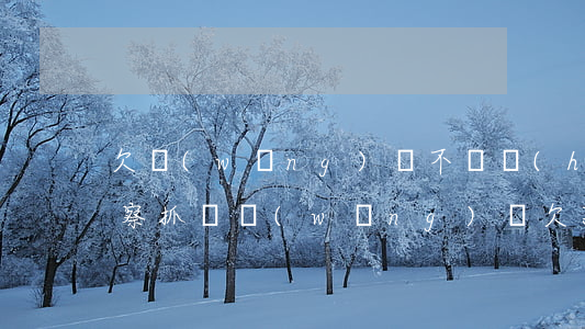 欠網(wǎng)貸不還會(huì)被警察抓嗎(網(wǎng)貸欠款公安會(huì)抓嗎)