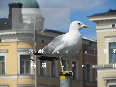 欠網(wǎng)貸不還會(huì)限高嗎(網(wǎng)貸逾期會(huì)不會(huì)限高)