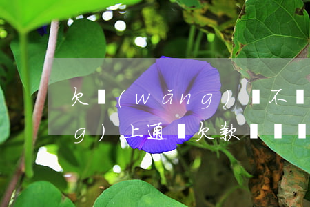 欠網(wǎng)貸不還會不會網(wǎng)上通緝(欠款沒還會不會成網(wǎng)上通緝)
