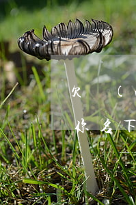 欠網(wǎng)貸不還會凍結(jié)你名下資產(chǎn)嗎-欠網(wǎng)貸不還會凍結(jié)你名下資產(chǎn)嗎知乎