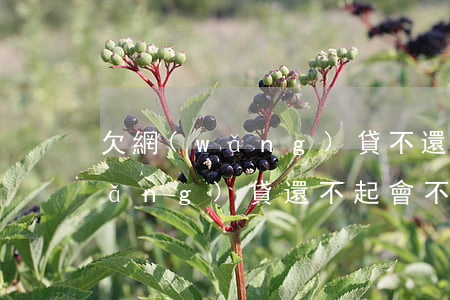 欠網(wǎng)貸不還會判刑幾年(網(wǎng)貸還不起會不會被判刑)