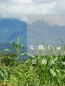 欠網(wǎng)貸不還會去家里催收嗎(沒欠網(wǎng)貸為什么有網(wǎng)貸催收)