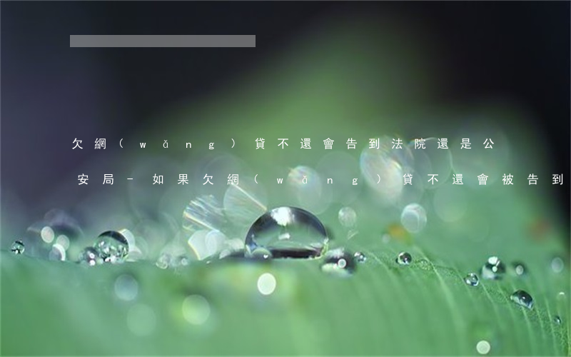 欠網(wǎng)貸不還會告到法院還是公安局-如果欠網(wǎng)貸不還會被告到法院嗎