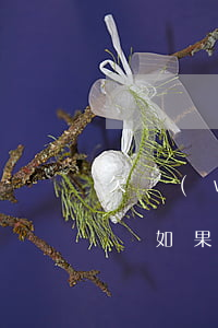 欠網(wǎng)貸不還會影響我車貸房貸嗎(如果網(wǎng)上貸款逾期對車貸房貸有影響嗎?)