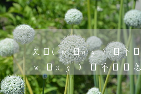 欠網(wǎng)貸不還會怎么辦啊(欠網(wǎng)貸不還會怎么辦啊)
